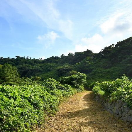 Hidden Cliff Hotel And Nature Seogwipo Esterno foto