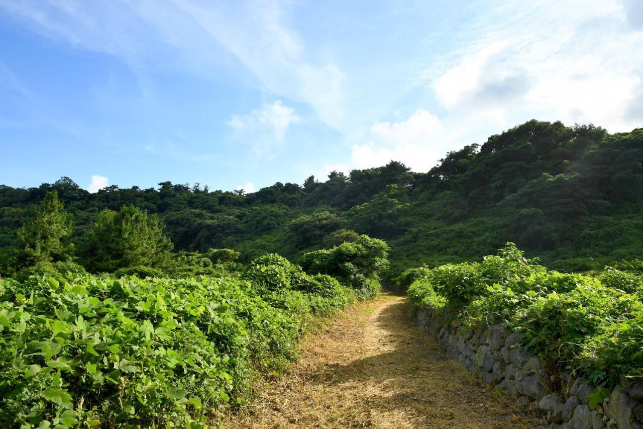 Hidden Cliff Hotel And Nature Seogwipo Esterno foto